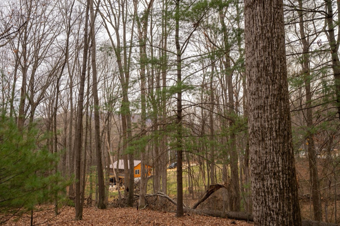 Cabin wide exterior